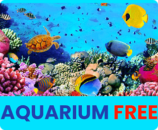 Aquarium Free